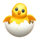 Hatching Chick