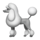 Poodle