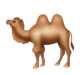 Two-Hump Camel