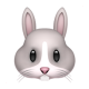 Rabbit Face