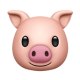 Pig Face