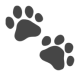 Paw Prints