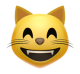 Grinning Cat With Smiling Eyes