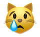 Crying Cat