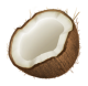 Coconut