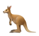 Kangaroo