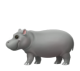 Hippopotamus