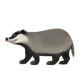 Badger