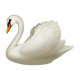 Swan