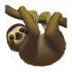 Sloth