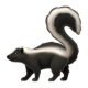 Skunk