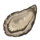 Oyster