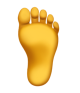 Foot