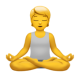 Person In Lotus Position