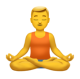 Man In Lotus Position