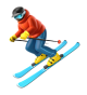 Skier