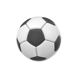 Soccer Ball Sticker